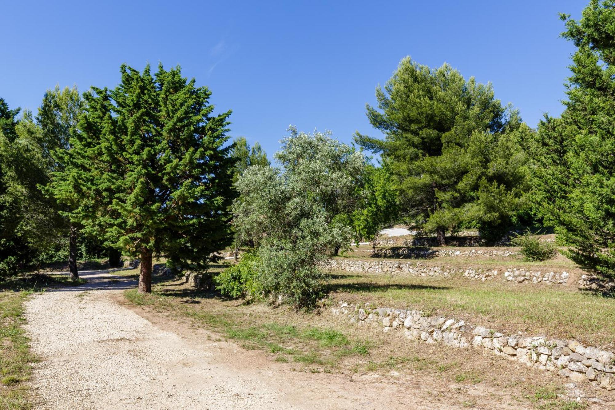 Lodges Park Castellet Provence: Vineyard Gites Near Beaches and F1 Circuit Le Beausset Room photo